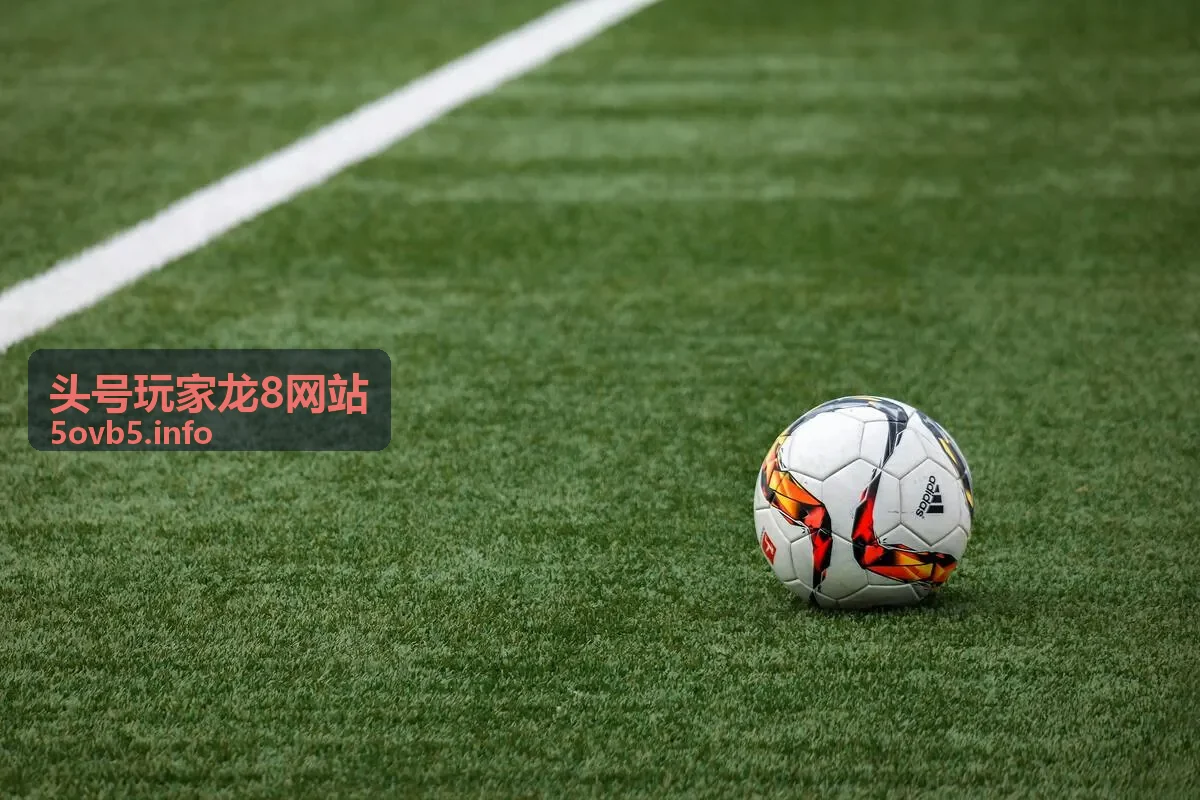头号玩家龙8玩家参与场景